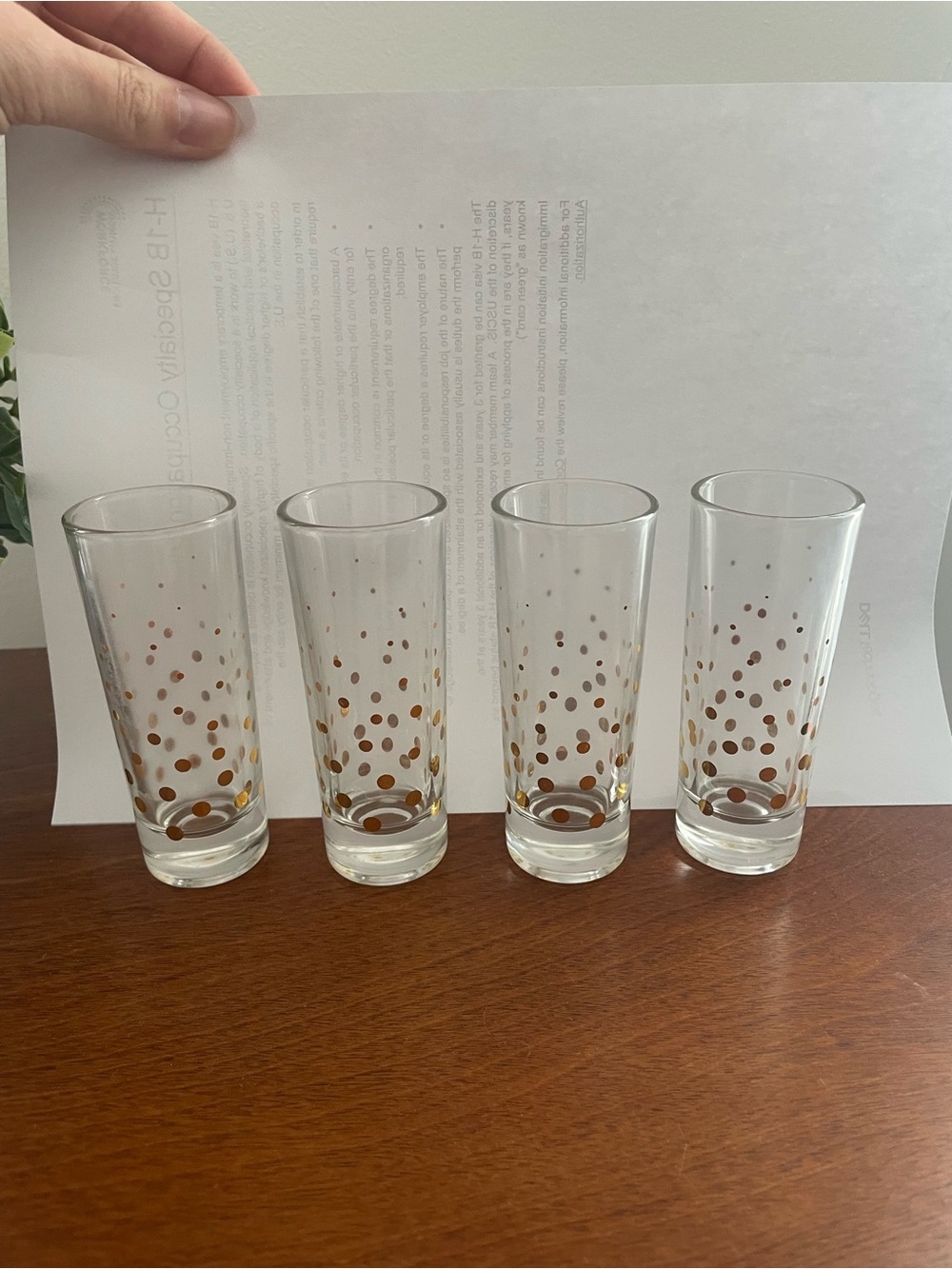 Set of 4 Clear Glass Shot Glasses with Gold Dot Accent
